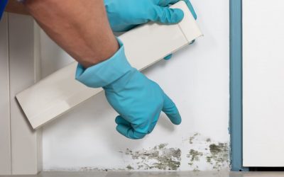 4 Ways to Prevent Mold Growth in the Home